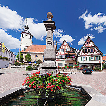 市场,喷泉,广场,城镇,教堂,巴登符腾堡,德国,欧洲