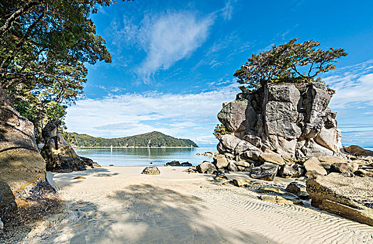 海滩,观注,国家公园,区域,南部地区,新西兰,大洋洲