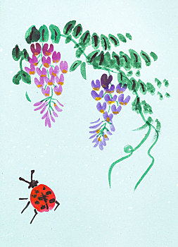 紫藤,植物,瓢虫