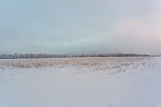 积雪,风景,俄罗斯