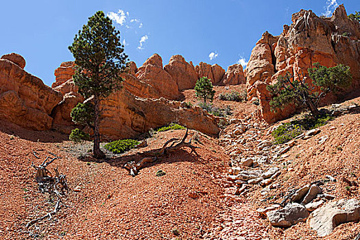 岩石构造,腐蚀,红色,峡谷,犹他,美国,北美