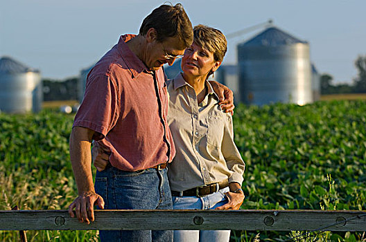 农业,夫妻,农民,生长,大豆,地点,分享,一起,谷物,背景,明尼苏达,美国