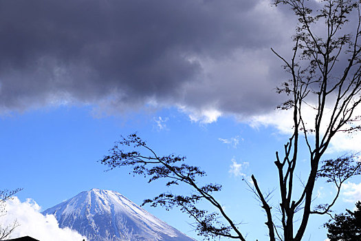 日本富士山河口湖