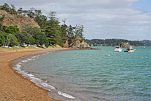 海滩,岛屿湾,北岛,新西兰