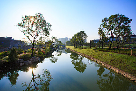 水面,草地,树木,植被,植物,湖