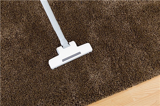 褐色,地毯,真空吸尘器
