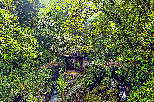 中国,四川,神圣,峨嵋,亭子,豪华,植物