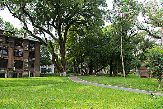 中山大学