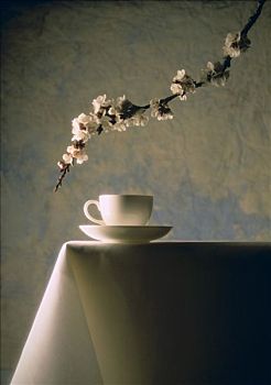 瓷杯,嫩枝,花