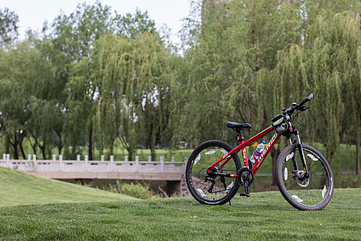 公园绿地自行车