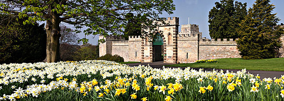花,城堡,诺森伯兰郡,英格兰