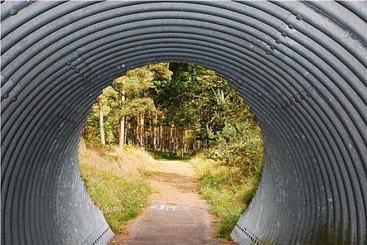 隧道,绿色,自然