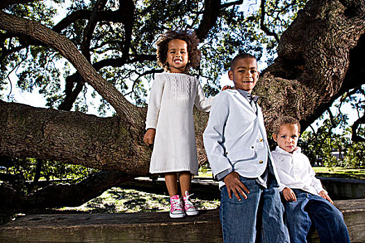 肖像,美国黑人,孩子,公园,靠近,树