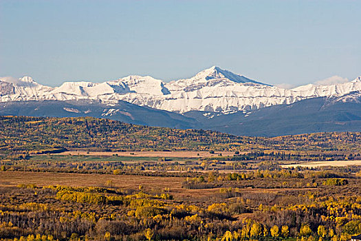 雪山,秋色,山麓,蓝天,卡尔加里,艾伯塔省,加拿大