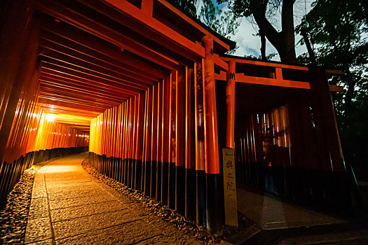 日本京都伏见稻荷大社千本鸟居夜景