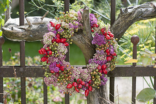 秋季花环,景天属植物,野玫瑰果,粉色