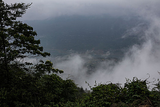 恩施,黄鹤峰,风景,景点,旅游,高山,山区,神秘,树木,植被,石头,鄂西,奇石,峡谷,壮观,云海,仙境