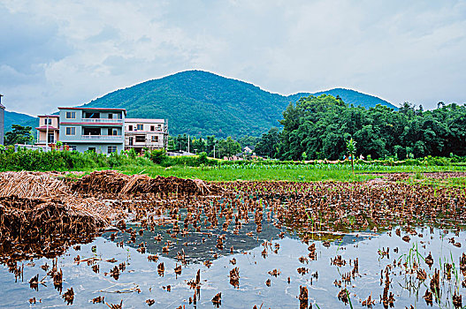 田园风光