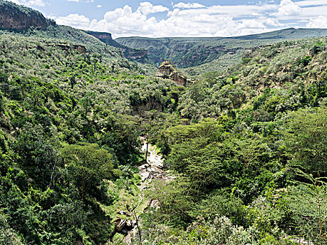 国家公园,肯尼亚,靠近,湖,峡谷,国家,魅力,竖图,红色,玄武岩,悬崖,狭窄,狭缝谷,中间,部族,大幅,尺寸