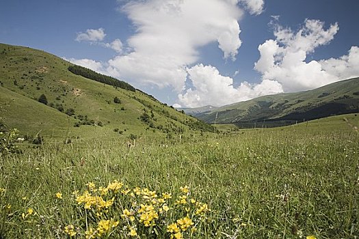 草场,科布里夫什提察,索非亚,省,保加利亚