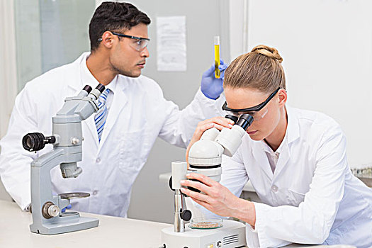 科学家,显微镜
