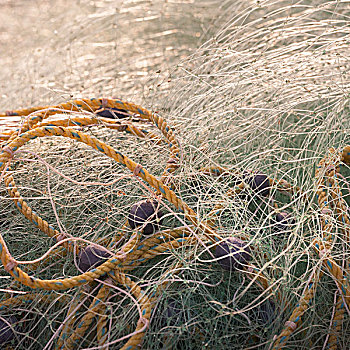绳索,缠绕,渔网,墨西哥