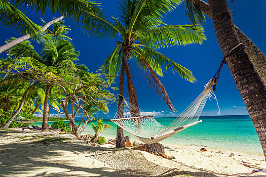 空,吊床,荫凉,棕榈树,热带,斐济