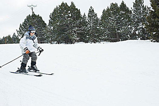 男孩,滑雪,全身