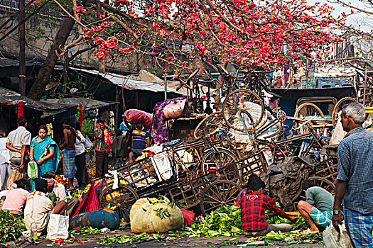入口,花市,加尔各答,西孟加拉,印度