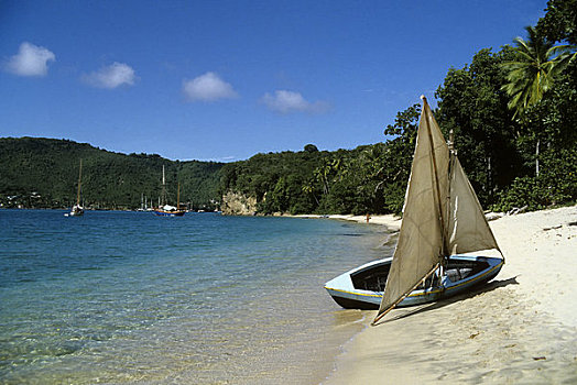 加勒比海,热带沙滩,小,帆船,岸边