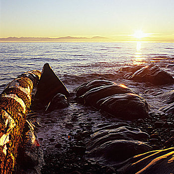 日落,溪流,阳光,海岸,不列颠哥伦比亚省,加拿大