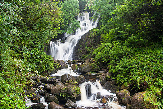 瀑布,基拉尼国家公园,凯瑞郡,爱尔兰,欧洲