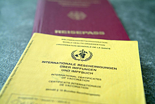 国际,护照