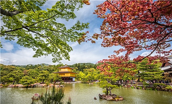 金阁寺,庙宇,金亭,京都,日本