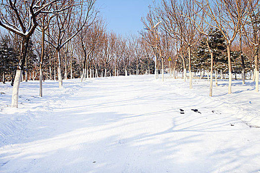 北京雪景