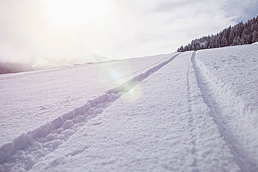 轮胎印,积雪,风景
