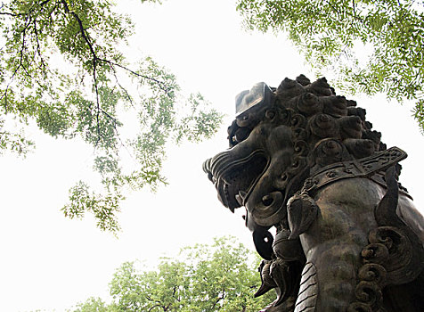 狮子,雕塑,喇嘛,庙宇,北京,中国