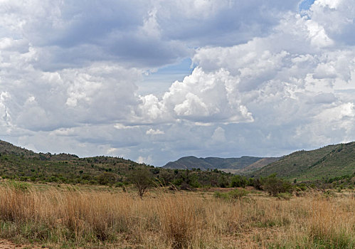 风景,禁猎区,西北省,南非