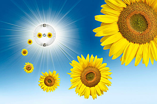 象征,图像,太阳能,能量,太阳,花,飞,室外,电,插座,阳光,天空