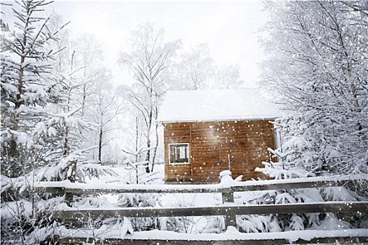 冬季风景,雪,冷杉,山,屋舍