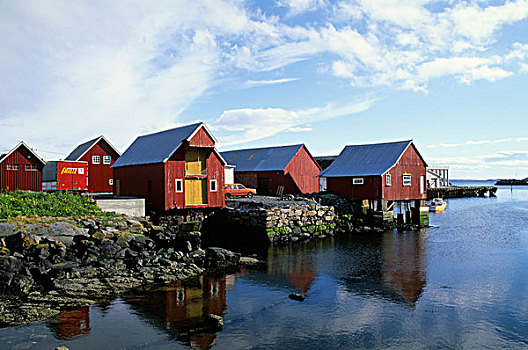 挪威,靠近,渔村,芽