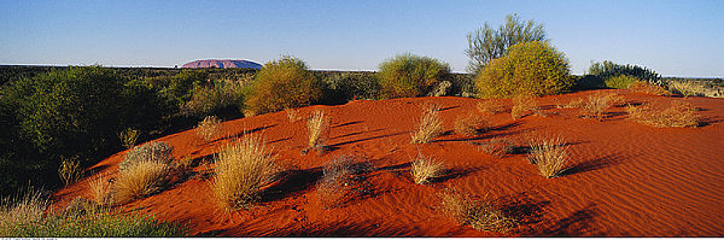 沙丘,艾尔斯巨石,北领地州,澳大利亚