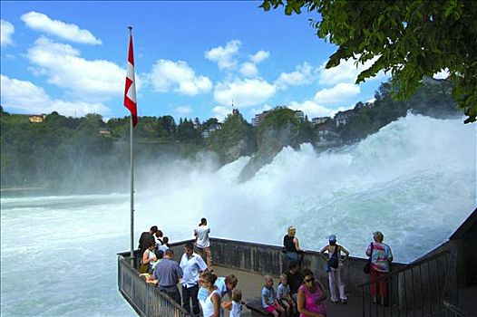 观注,叫,莱茵河,瀑布,诺伊豪森,瑞士