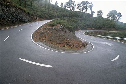 道路,弯曲,加纳利群岛