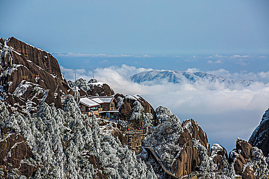 雪后黄风光