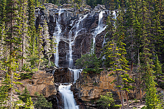 加拿大,艾伯塔省,碧玉国家公园,缠结,瀑布