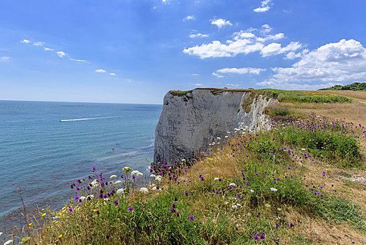悬崖,海岸,老,石头,英格兰,英国