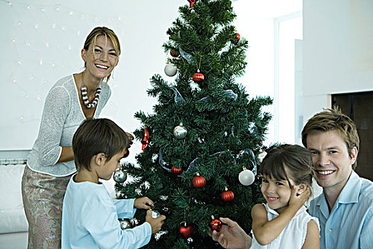 家庭,装饰,圣诞树