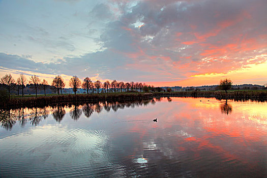 湖,靠近,黄昏,北莱茵-威斯特伐利亚,德国,欧洲