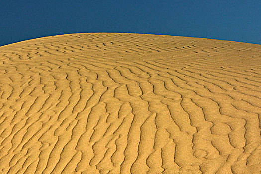 日出,上方,沙丘,死亡谷国家公园,加利福尼亚,美国
